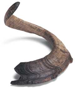 Shofar